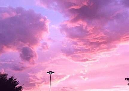 美丽的句子描述友谊