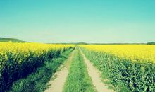 女人开心出门浪的句子 出去浪的开心句子