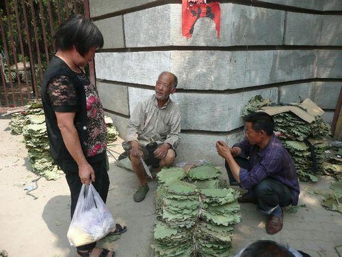 曹景华：“ Er海的春天”