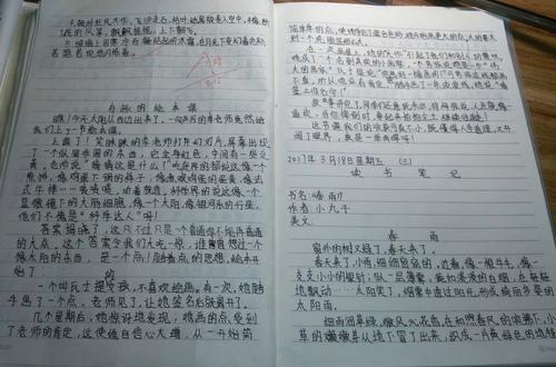 六年级作文：很高兴与您同行