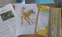 《孩子们的秘密乐园》读后感