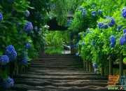 风景构成：美丽的风景和浓浓的爱情