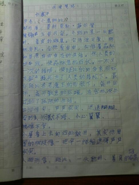 阅读笔记3000字