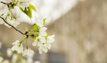 能让老年人开心的句子 让老人开心的话