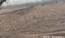 没有永远的穷人，除了懒汉