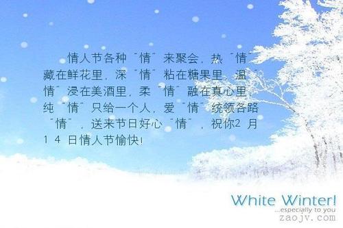 描述情人节美丽的句子