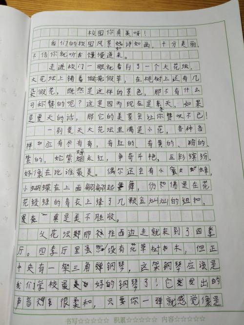 团队中有什么新内容