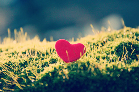 鞋子的生活理念