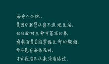 2015最绝美的句子