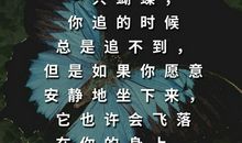 50条精典励志名言