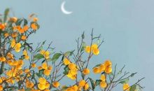 经典语录：我们在风景里成长，成长成别人眼里的风景