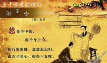 关于母爱的语句