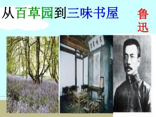 从百草园读到三味书店500字