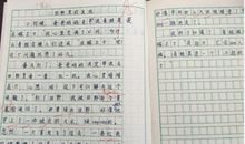 心中的愿望作文