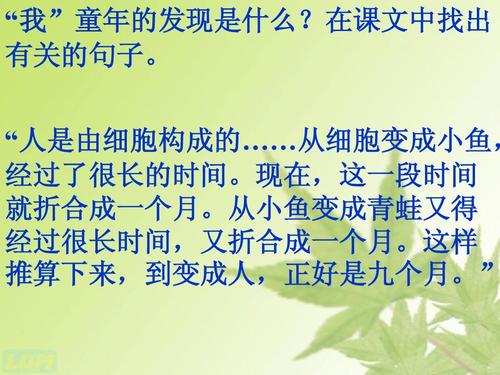 童年发现的主要内容