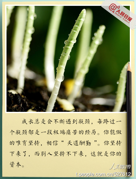 你坚持不懈,这是你的资本