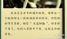 你坚持下来了，这就是你的资本