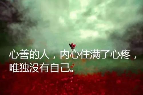 经典语录:苦苦等待,但从未失望