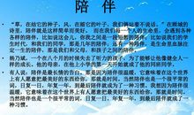 朗读者第十二期文章内容