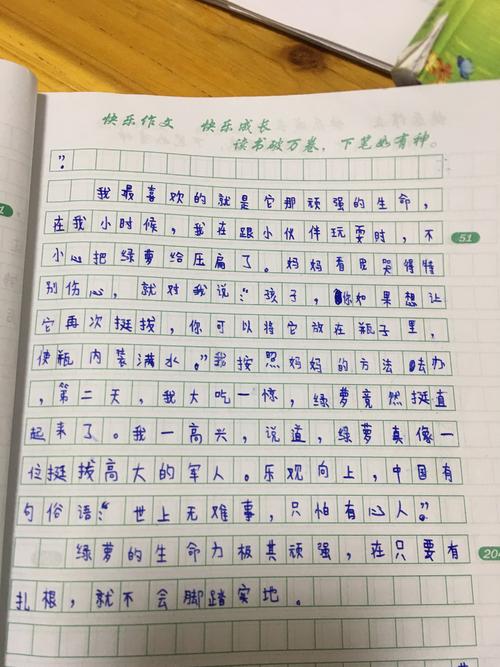 我家的露洛组成