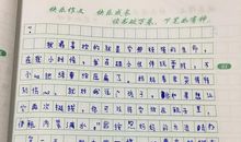 我家的绿萝作文