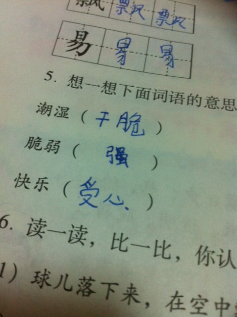 关于同情的句子