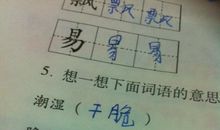 关于同情的句子