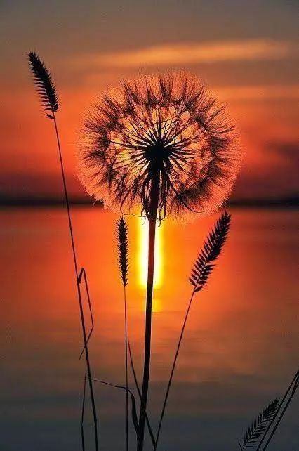 需要坚强的生活