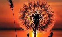 人生路上需坚强