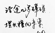 优美句子名言警句