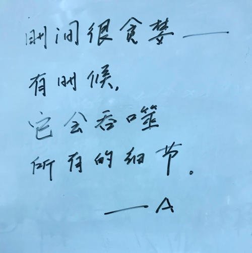 风筝追逐者节选