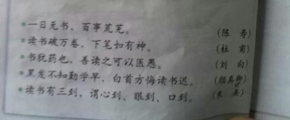 爱情家庭语录，著名句子，美丽句子