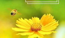 励志故事：好心情