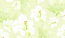 艾米·洛威尔名言