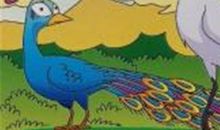 读《伊索寓言》之《孔雀与鹤》有感