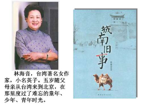 关于阅读《东阳童年骆驼队》的思考