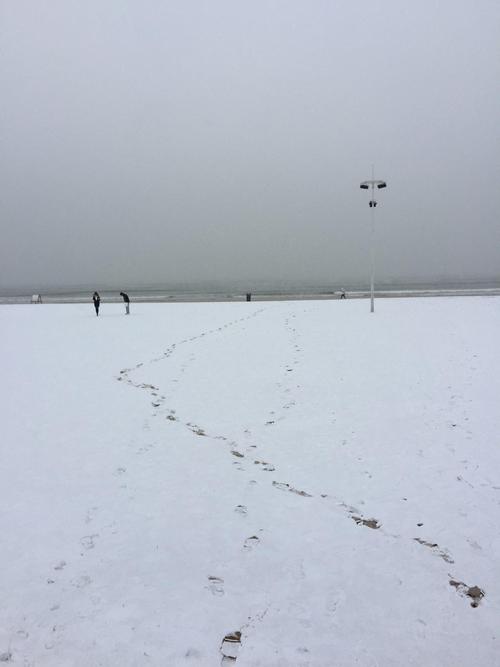 读者郭坤舒婷：“给我的同时代人”