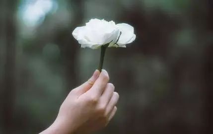 纪念死者的句子