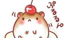 我与仓鼠的故事作文