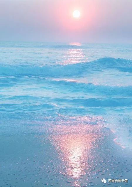 王国振：祝你好运