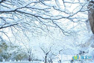 美丽的句子描述雪景
