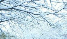 描写雪景的美句