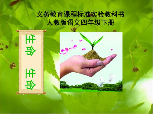 杏林子:一生一世