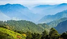 潘希白：大有·九日