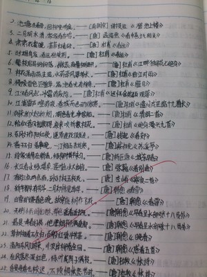 关于赞美太阳的句子