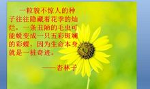 杏林子：点一盏生命的灯