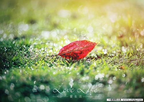 人生感悟：你快乐吗？