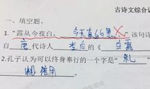 关于狗熊的脾气的歇后语