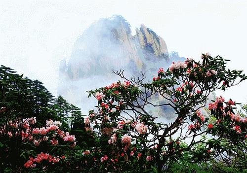 徐昌图：临江仙人·饮水散落亭西