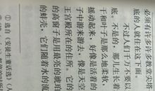 《海的女儿》读后感